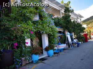 [P15] Taverna Stavros, Sivota » foto by crismis
 - 
<span class="allrVoted glyphicon glyphicon-heart hidden" id="av1260197"></span>
<a class="m-l-10 hidden" id="sv1260197" onclick="voting_Foto_DelVot(,1260197,8082)" role="button">șterge vot <span class="glyphicon glyphicon-remove"></span></a>
<a id="v91260197" class=" c-red"  onclick="voting_Foto_SetVot(1260197)" role="button"><span class="glyphicon glyphicon-heart-empty"></span> <b>LIKE</b> = Votează poza</a> <img class="hidden"  id="f1260197W9" src="/imagini/loader.gif" border="0" /><span class="AjErrMes hidden" id="e1260197ErM"></span>