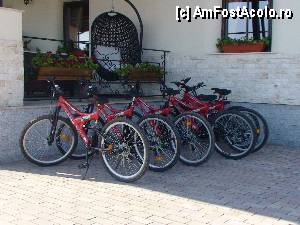 [P10] Restaurant Domeniul Seniorilor  / Bici de inchiriat.  » foto by george_bton*
 - 
<span class="allrVoted glyphicon glyphicon-heart hidden" id="av372599"></span>
<a class="m-l-10 hidden" id="sv372599" onclick="voting_Foto_DelVot(,372599,8083)" role="button">șterge vot <span class="glyphicon glyphicon-remove"></span></a>
<a id="v9372599" class=" c-red"  onclick="voting_Foto_SetVot(372599)" role="button"><span class="glyphicon glyphicon-heart-empty"></span> <b>LIKE</b> = Votează poza</a> <img class="hidden"  id="f372599W9" src="/imagini/loader.gif" border="0" /><span class="AjErrMes hidden" id="e372599ErM"></span>