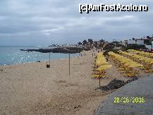 [P04] plaja mica » foto by popas
 - 
<span class="allrVoted glyphicon glyphicon-heart hidden" id="av170873"></span>
<a class="m-l-10 hidden" id="sv170873" onclick="voting_Foto_DelVot(,170873,8101)" role="button">șterge vot <span class="glyphicon glyphicon-remove"></span></a>
<a id="v9170873" class=" c-red"  onclick="voting_Foto_SetVot(170873)" role="button"><span class="glyphicon glyphicon-heart-empty"></span> <b>LIKE</b> = Votează poza</a> <img class="hidden"  id="f170873W9" src="/imagini/loader.gif" border="0" /><span class="AjErrMes hidden" id="e170873ErM"></span>