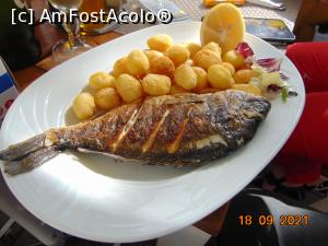 [P24] dorada regala si bulete de cartofi » foto by Yolanda
 - 
<span class="allrVoted glyphicon glyphicon-heart hidden" id="av1255876"></span>
<a class="m-l-10 hidden" id="sv1255876" onclick="voting_Foto_DelVot(,1255876,8103)" role="button">șterge vot <span class="glyphicon glyphicon-remove"></span></a>
<a id="v91255876" class=" c-red"  onclick="voting_Foto_SetVot(1255876)" role="button"><span class="glyphicon glyphicon-heart-empty"></span> <b>LIKE</b> = Votează poza</a> <img class="hidden"  id="f1255876W9" src="/imagini/loader.gif" border="0" /><span class="AjErrMes hidden" id="e1255876ErM"></span>