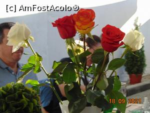 [P44] cei mai frumosi trandafiri » foto by Yolanda
 - 
<span class="allrVoted glyphicon glyphicon-heart hidden" id="av1255914"></span>
<a class="m-l-10 hidden" id="sv1255914" onclick="voting_Foto_DelVot(,1255914,8103)" role="button">șterge vot <span class="glyphicon glyphicon-remove"></span></a>
<a id="v91255914" class=" c-red"  onclick="voting_Foto_SetVot(1255914)" role="button"><span class="glyphicon glyphicon-heart-empty"></span> <b>LIKE</b> = Votează poza</a> <img class="hidden"  id="f1255914W9" src="/imagini/loader.gif" border="0" /><span class="AjErrMes hidden" id="e1255914ErM"></span>