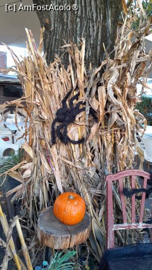 [P19] decor de toamna si Halloween » foto by Yolanda
 - 
<span class="allrVoted glyphicon glyphicon-heart hidden" id="av1395128"></span>
<a class="m-l-10 hidden" id="sv1395128" onclick="voting_Foto_DelVot(,1395128,8103)" role="button">șterge vot <span class="glyphicon glyphicon-remove"></span></a>
<a id="v91395128" class=" c-red"  onclick="voting_Foto_SetVot(1395128)" role="button"><span class="glyphicon glyphicon-heart-empty"></span> <b>LIKE</b> = Votează poza</a> <img class="hidden"  id="f1395128W9" src="/imagini/loader.gif" border="0" /><span class="AjErrMes hidden" id="e1395128ErM"></span>