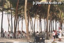 [P11] restaurantul din interiorul parcului,baietii cu palaria cu creasta preluau comanda de la chelnarite si fugeau cu ea la bucatarie,de obicei comenzile erau inghetate asa trebuiau sa ajunga comenzile in cel mai scurt timp,asa ca asistai la o cursa permanenta a acestora » foto by grecudoina
 - 
<span class="allrVoted glyphicon glyphicon-heart hidden" id="av296192"></span>
<a class="m-l-10 hidden" id="sv296192" onclick="voting_Foto_DelVot(,296192,8109)" role="button">șterge vot <span class="glyphicon glyphicon-remove"></span></a>
<a id="v9296192" class=" c-red"  onclick="voting_Foto_SetVot(296192)" role="button"><span class="glyphicon glyphicon-heart-empty"></span> <b>LIKE</b> = Votează poza</a> <img class="hidden"  id="f296192W9" src="/imagini/loader.gif" border="0" /><span class="AjErrMes hidden" id="e296192ErM"></span>