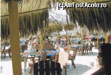 [P12] cumnata si fratele la plaja de la Prainha,toata lumea aici statea pe scaune la masa sau pe sezlonguri la soare aproape de umbrelele din frunze de palmier,de aici faceai o cursa in mare viteza pana la apa pt. ca nisipul era fierbinte » foto by grecudoina
 - 
<span class="allrVoted glyphicon glyphicon-heart hidden" id="av296193"></span>
<a class="m-l-10 hidden" id="sv296193" onclick="voting_Foto_DelVot(,296193,8109)" role="button">șterge vot <span class="glyphicon glyphicon-remove"></span></a>
<a id="v9296193" class=" c-red"  onclick="voting_Foto_SetVot(296193)" role="button"><span class="glyphicon glyphicon-heart-empty"></span> <b>LIKE</b> = Votează poza</a> <img class="hidden"  id="f296193W9" src="/imagini/loader.gif" border="0" /><span class="AjErrMes hidden" id="e296193ErM"></span>