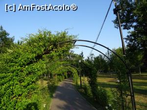 [P30] Amenajări peisagistice în parc. » foto by tata123 🔱
 - 
<span class="allrVoted glyphicon glyphicon-heart hidden" id="av1314446"></span>
<a class="m-l-10 hidden" id="sv1314446" onclick="voting_Foto_DelVot(,1314446,8118)" role="button">șterge vot <span class="glyphicon glyphicon-remove"></span></a>
<a id="v91314446" class=" c-red"  onclick="voting_Foto_SetVot(1314446)" role="button"><span class="glyphicon glyphicon-heart-empty"></span> <b>LIKE</b> = Votează poza</a> <img class="hidden"  id="f1314446W9" src="/imagini/loader.gif" border="0" /><span class="AjErrMes hidden" id="e1314446ErM"></span>