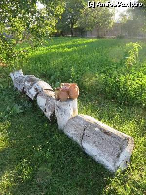 [P14] Decoruri în curtea mănăstirii » foto by tata123 🔱
 - 
<span class="allrVoted glyphicon glyphicon-heart hidden" id="av554638"></span>
<a class="m-l-10 hidden" id="sv554638" onclick="voting_Foto_DelVot(,554638,8118)" role="button">șterge vot <span class="glyphicon glyphicon-remove"></span></a>
<a id="v9554638" class=" c-red"  onclick="voting_Foto_SetVot(554638)" role="button"><span class="glyphicon glyphicon-heart-empty"></span> <b>LIKE</b> = Votează poza</a> <img class="hidden"  id="f554638W9" src="/imagini/loader.gif" border="0" /><span class="AjErrMes hidden" id="e554638ErM"></span>
