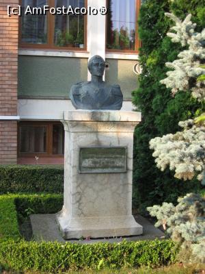[P18] Bust Alexandru Dimitrie Ghica în fața Primăriei orașului (autor: Emil Becker, statuie inaugurată în 1934, la 100 de ani de la întemeierea orașului).  » foto by tata123 🔱
 - 
<span class="allrVoted glyphicon glyphicon-heart hidden" id="av1037512"></span>
<a class="m-l-10 hidden" id="sv1037512" onclick="voting_Foto_DelVot(,1037512,8118)" role="button">șterge vot <span class="glyphicon glyphicon-remove"></span></a>
<a id="v91037512" class=" c-red"  onclick="voting_Foto_SetVot(1037512)" role="button"><span class="glyphicon glyphicon-heart-empty"></span> <b>LIKE</b> = Votează poza</a> <img class="hidden"  id="f1037512W9" src="/imagini/loader.gif" border="0" /><span class="AjErrMes hidden" id="e1037512ErM"></span>