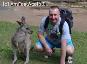 [P06] Ăsta îs, chiar și prietenul meu din Australia se uita ciudat la mine, ce caută nebunul ăsta pe aci... » foto by AZE
 - 
<span class="allrVoted glyphicon glyphicon-heart hidden" id="av1381446"></span>
<a class="m-l-10 hidden" id="sv1381446" onclick="voting_Foto_DelVot(,1381446,8126)" role="button">șterge vot <span class="glyphicon glyphicon-remove"></span></a>
<a id="v91381446" class=" c-red"  onclick="voting_Foto_SetVot(1381446)" role="button"><span class="glyphicon glyphicon-heart-empty"></span> <b>LIKE</b> = Votează poza</a> <img class="hidden"  id="f1381446W9" src="/imagini/loader.gif" border="0" /><span class="AjErrMes hidden" id="e1381446ErM"></span>