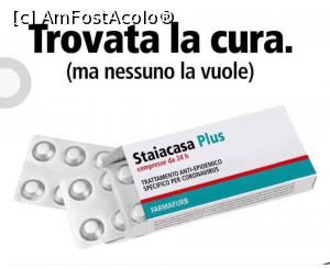 [P03] Hai ca s-a gasit antidotul!  » foto by mishu <span class="label label-default labelC_thin small">NEVOTABILĂ</span>