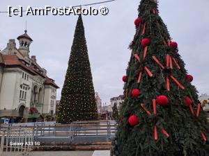 [P20] Târgul de Crăciun din Piaţa Ovidiu » foto by nicole33
 - 
<span class="allrVoted glyphicon glyphicon-heart hidden" id="av1516473"></span>
<a class="m-l-10 hidden" id="sv1516473" onclick="voting_Foto_DelVot(,1516473,8127)" role="button">șterge vot <span class="glyphicon glyphicon-remove"></span></a>
<a id="v91516473" class=" c-red"  onclick="voting_Foto_SetVot(1516473)" role="button"><span class="glyphicon glyphicon-heart-empty"></span> <b>LIKE</b> = Votează poza</a> <img class="hidden"  id="f1516473W9" src="/imagini/loader.gif" border="0" /><span class="AjErrMes hidden" id="e1516473ErM"></span>