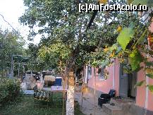 [P12] Parul batran sub care-am stat
Si la vioara am cantat » foto by bog68
 - 
<span class="allrVoted glyphicon glyphicon-heart hidden" id="av300329"></span>
<a class="m-l-10 hidden" id="sv300329" onclick="voting_Foto_DelVot(,300329,8128)" role="button">șterge vot <span class="glyphicon glyphicon-remove"></span></a>
<a id="v9300329" class=" c-red"  onclick="voting_Foto_SetVot(300329)" role="button"><span class="glyphicon glyphicon-heart-empty"></span> <b>LIKE</b> = Votează poza</a> <img class="hidden"  id="f300329W9" src="/imagini/loader.gif" border="0" /><span class="AjErrMes hidden" id="e300329ErM"></span>