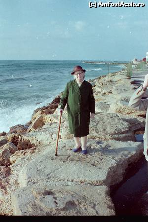 [P05] Visul mamei devenit realitate - in Tel Aviv pe malul Mediteranei
De ziua mamei sau viata la 97 de ani (p 5)  » foto by ccondeiu
 - 
<span class="allrVoted glyphicon glyphicon-heart hidden" id="av581380"></span>
<a class="m-l-10 hidden" id="sv581380" onclick="voting_Foto_DelVot(,581380,8128)" role="button">șterge vot <span class="glyphicon glyphicon-remove"></span></a>
<a id="v9581380" class=" c-red"  onclick="voting_Foto_SetVot(581380)" role="button"><span class="glyphicon glyphicon-heart-empty"></span> <b>LIKE</b> = Votează poza</a> <img class="hidden"  id="f581380W9" src="/imagini/loader.gif" border="0" /><span class="AjErrMes hidden" id="e581380ErM"></span>
