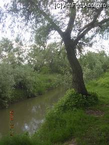 [P23] Solitaritatea sălcii pe malul Ampoiului. » foto by abbilbal*
 - 
<span class="allrVoted glyphicon glyphicon-heart hidden" id="av96987"></span>
<a class="m-l-10 hidden" id="sv96987" onclick="voting_Foto_DelVot(,96987,8128)" role="button">șterge vot <span class="glyphicon glyphicon-remove"></span></a>
<a id="v996987" class=" c-red"  onclick="voting_Foto_SetVot(96987)" role="button"><span class="glyphicon glyphicon-heart-empty"></span> <b>LIKE</b> = Votează poza</a> <img class="hidden"  id="f96987W9" src="/imagini/loader.gif" border="0" /><span class="AjErrMes hidden" id="e96987ErM"></span>