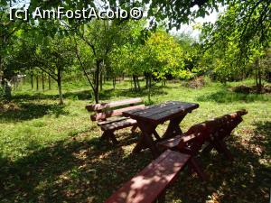 [P23] În grădina casei de la Bordenii Mici.  » foto by tata123 🔱
 - 
<span class="allrVoted glyphicon glyphicon-heart hidden" id="av1106219"></span>
<a class="m-l-10 hidden" id="sv1106219" onclick="voting_Foto_DelVot(,1106219,8128)" role="button">șterge vot <span class="glyphicon glyphicon-remove"></span></a>
<a id="v91106219" class=" c-red"  onclick="voting_Foto_SetVot(1106219)" role="button"><span class="glyphicon glyphicon-heart-empty"></span> <b>LIKE</b> = Votează poza</a> <img class="hidden"  id="f1106219W9" src="/imagini/loader.gif" border="0" /><span class="AjErrMes hidden" id="e1106219ErM"></span>