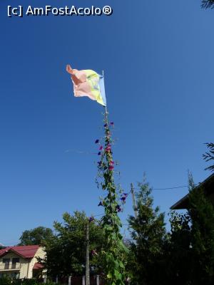 [P03] Tricolorul românesc la loc de cinste la Bordenii Mici.  » foto by tata123 🔱
 - 
<span class="allrVoted glyphicon glyphicon-heart hidden" id="av1106191"></span>
<a class="m-l-10 hidden" id="sv1106191" onclick="voting_Foto_DelVot(,1106191,8128)" role="button">șterge vot <span class="glyphicon glyphicon-remove"></span></a>
<a id="v91106191" class=" c-red"  onclick="voting_Foto_SetVot(1106191)" role="button"><span class="glyphicon glyphicon-heart-empty"></span> <b>LIKE</b> = Votează poza</a> <img class="hidden"  id="f1106191W9" src="/imagini/loader.gif" border="0" /><span class="AjErrMes hidden" id="e1106191ErM"></span>