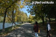 [P01]  -- <small>// FĂRĂ DESCRIERE</small> » foto by raoulp55
 - 
<span class="allrVoted glyphicon glyphicon-heart hidden" id="av171630"></span>
<a class="m-l-10 hidden" id="sv171630" onclick="voting_Foto_DelVot(,171630,8129)" role="button">șterge vot <span class="glyphicon glyphicon-remove"></span></a>
<a id="v9171630" class=" c-red"  onclick="voting_Foto_SetVot(171630)" role="button"><span class="glyphicon glyphicon-heart-empty"></span> <b>LIKE</b> = Votează poza</a> <img class="hidden"  id="f171630W9" src="/imagini/loader.gif" border="0" /><span class="AjErrMes hidden" id="e171630ErM"></span>
