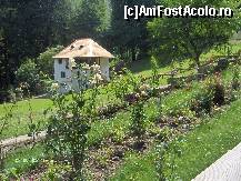 [P23] Florile si iarba sunt de o culoare mai aprinsa aici » foto by verobutterfly
 - 
<span class="allrVoted glyphicon glyphicon-heart hidden" id="av168489"></span>
<a class="m-l-10 hidden" id="sv168489" onclick="voting_Foto_DelVot(,168489,8130)" role="button">șterge vot <span class="glyphicon glyphicon-remove"></span></a>
<a id="v9168489" class=" c-red"  onclick="voting_Foto_SetVot(168489)" role="button"><span class="glyphicon glyphicon-heart-empty"></span> <b>LIKE</b> = Votează poza</a> <img class="hidden"  id="f168489W9" src="/imagini/loader.gif" border="0" /><span class="AjErrMes hidden" id="e168489ErM"></span>