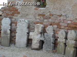 [P21] Biserica ruinată de la Ciuperceni - Cruci din vechiul cimitir al satului.  » foto by iulianic
 - 
<span class="allrVoted glyphicon glyphicon-heart hidden" id="av1090637"></span>
<a class="m-l-10 hidden" id="sv1090637" onclick="voting_Foto_DelVot(,1090637,8133)" role="button">șterge vot <span class="glyphicon glyphicon-remove"></span></a>
<a id="v91090637" class=" c-red"  onclick="voting_Foto_SetVot(1090637)" role="button"><span class="glyphicon glyphicon-heart-empty"></span> <b>LIKE</b> = Votează poza</a> <img class="hidden"  id="f1090637W9" src="/imagini/loader.gif" border="0" /><span class="AjErrMes hidden" id="e1090637ErM"></span>