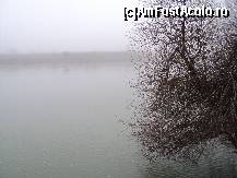 [P02] Oltul , cu 1km inainte de varsarea in Dunare , in dreptul DN54 » foto by TORA INGRID
 - 
<span class="allrVoted glyphicon glyphicon-heart hidden" id="av169982"></span>
<a class="m-l-10 hidden" id="sv169982" onclick="voting_Foto_DelVot(,169982,8133)" role="button">șterge vot <span class="glyphicon glyphicon-remove"></span></a>
<a id="v9169982" class=" c-red"  onclick="voting_Foto_SetVot(169982)" role="button"><span class="glyphicon glyphicon-heart-empty"></span> <b>LIKE</b> = Votează poza</a> <img class="hidden"  id="f169982W9" src="/imagini/loader.gif" border="0" /><span class="AjErrMes hidden" id="e169982ErM"></span>