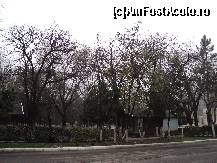 [P12] Parcul Central , inima unui imens giratoriu. » foto by TORA INGRID
 - 
<span class="allrVoted glyphicon glyphicon-heart hidden" id="av170157"></span>
<a class="m-l-10 hidden" id="sv170157" onclick="voting_Foto_DelVot(,170157,8133)" role="button">șterge vot <span class="glyphicon glyphicon-remove"></span></a>
<a id="v9170157" class=" c-red"  onclick="voting_Foto_SetVot(170157)" role="button"><span class="glyphicon glyphicon-heart-empty"></span> <b>LIKE</b> = Votează poza</a> <img class="hidden"  id="f170157W9" src="/imagini/loader.gif" border="0" /><span class="AjErrMes hidden" id="e170157ErM"></span>