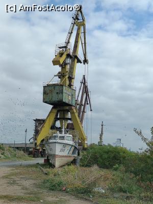 [P18] În port... » foto by tata123 🔱
 - 
<span class="allrVoted glyphicon glyphicon-heart hidden" id="av1336375"></span>
<a class="m-l-10 hidden" id="sv1336375" onclick="voting_Foto_DelVot(,1336375,8133)" role="button">șterge vot <span class="glyphicon glyphicon-remove"></span></a>
<a id="v91336375" class=" c-red"  onclick="voting_Foto_SetVot(1336375)" role="button"><span class="glyphicon glyphicon-heart-empty"></span> <b>LIKE</b> = Votează poza</a> <img class="hidden"  id="f1336375W9" src="/imagini/loader.gif" border="0" /><span class="AjErrMes hidden" id="e1336375ErM"></span>