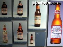 [P10] Evolutia sticlei de Budweiser » foto by Darklocks
 - 
<span class="allrVoted glyphicon glyphicon-heart hidden" id="av170670"></span>
<a class="m-l-10 hidden" id="sv170670" onclick="voting_Foto_DelVot(,170670,8140)" role="button">șterge vot <span class="glyphicon glyphicon-remove"></span></a>
<a id="v9170670" class=" c-red"  onclick="voting_Foto_SetVot(170670)" role="button"><span class="glyphicon glyphicon-heart-empty"></span> <b>LIKE</b> = Votează poza</a> <img class="hidden"  id="f170670W9" src="/imagini/loader.gif" border="0" /><span class="AjErrMes hidden" id="e170670ErM"></span>