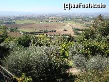 [P09] Panorama văii Spotelo văzută de la înălțimea orașului Assisi » foto by mariana.olaru
 - 
<span class="allrVoted glyphicon glyphicon-heart hidden" id="av171656"></span>
<a class="m-l-10 hidden" id="sv171656" onclick="voting_Foto_DelVot(,171656,8154)" role="button">șterge vot <span class="glyphicon glyphicon-remove"></span></a>
<a id="v9171656" class=" c-red"  onclick="voting_Foto_SetVot(171656)" role="button"><span class="glyphicon glyphicon-heart-empty"></span> <b>LIKE</b> = Votează poza</a> <img class="hidden"  id="f171656W9" src="/imagini/loader.gif" border="0" /><span class="AjErrMes hidden" id="e171656ErM"></span>