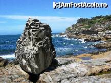 [P26] Pe coasta Pacificului » foto by badge®
 - 
<span class="allrVoted glyphicon glyphicon-heart hidden" id="av172392"></span>
<a class="m-l-10 hidden" id="sv172392" onclick="voting_Foto_DelVot(,172392,8165)" role="button">șterge vot <span class="glyphicon glyphicon-remove"></span></a>
<a id="v9172392" class=" c-red"  onclick="voting_Foto_SetVot(172392)" role="button"><span class="glyphicon glyphicon-heart-empty"></span> <b>LIKE</b> = Votează poza</a> <img class="hidden"  id="f172392W9" src="/imagini/loader.gif" border="0" /><span class="AjErrMes hidden" id="e172392ErM"></span>
