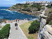 [P27] Mergând spre Tamarama Beach » foto by badge®
 - 
<span class="allrVoted glyphicon glyphicon-heart hidden" id="av172393"></span>
<a class="m-l-10 hidden" id="sv172393" onclick="voting_Foto_DelVot(,172393,8165)" role="button">șterge vot <span class="glyphicon glyphicon-remove"></span></a>
<a id="v9172393" class=" c-red"  onclick="voting_Foto_SetVot(172393)" role="button"><span class="glyphicon glyphicon-heart-empty"></span> <b>LIKE</b> = Votează poza</a> <img class="hidden"  id="f172393W9" src="/imagini/loader.gif" border="0" /><span class="AjErrMes hidden" id="e172393ErM"></span>