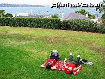 [P30] No worries Mate, it's Sydney...! » foto by badge®
 - 
<span class="allrVoted glyphicon glyphicon-heart hidden" id="av172396"></span>
<a class="m-l-10 hidden" id="sv172396" onclick="voting_Foto_DelVot(,172396,8165)" role="button">șterge vot <span class="glyphicon glyphicon-remove"></span></a>
<a id="v9172396" class=" c-red"  onclick="voting_Foto_SetVot(172396)" role="button"><span class="glyphicon glyphicon-heart-empty"></span> <b>LIKE</b> = Votează poza</a> <img class="hidden"  id="f172396W9" src="/imagini/loader.gif" border="0" /><span class="AjErrMes hidden" id="e172396ErM"></span>