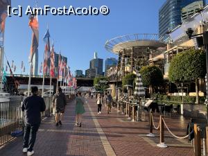 [P19] Sydney,Darling Harbour » foto by AZE
 - 
<span class="allrVoted glyphicon glyphicon-heart hidden" id="av1377815"></span>
<a class="m-l-10 hidden" id="sv1377815" onclick="voting_Foto_DelVot(,1377815,8165)" role="button">șterge vot <span class="glyphicon glyphicon-remove"></span></a>
<a id="v91377815" class=" c-red"  onclick="voting_Foto_SetVot(1377815)" role="button"><span class="glyphicon glyphicon-heart-empty"></span> <b>LIKE</b> = Votează poza</a> <img class="hidden"  id="f1377815W9" src="/imagini/loader.gif" border="0" /><span class="AjErrMes hidden" id="e1377815ErM"></span>