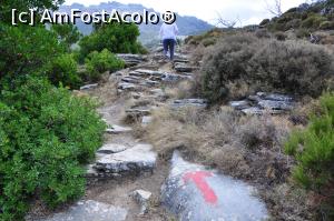 [P20] Castelul (Kastro) din Styra - spre culme » foto by Dragoș_MD
 - 
<span class="allrVoted glyphicon glyphicon-heart hidden" id="av1111235"></span>
<a class="m-l-10 hidden" id="sv1111235" onclick="voting_Foto_DelVot(,1111235,8175)" role="button">șterge vot <span class="glyphicon glyphicon-remove"></span></a>
<a id="v91111235" class=" c-red"  onclick="voting_Foto_SetVot(1111235)" role="button"><span class="glyphicon glyphicon-heart-empty"></span> <b>LIKE</b> = Votează poza</a> <img class="hidden"  id="f1111235W9" src="/imagini/loader.gif" border="0" /><span class="AjErrMes hidden" id="e1111235ErM"></span>
