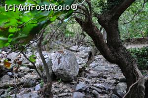 [P17] Lenosei - albia pârâului secat » foto by Dragoș_MD
 - 
<span class="allrVoted glyphicon glyphicon-heart hidden" id="av1144610"></span>
<a class="m-l-10 hidden" id="sv1144610" onclick="voting_Foto_DelVot(,1144610,8175)" role="button">șterge vot <span class="glyphicon glyphicon-remove"></span></a>
<a id="v91144610" class=" c-red"  onclick="voting_Foto_SetVot(1144610)" role="button"><span class="glyphicon glyphicon-heart-empty"></span> <b>LIKE</b> = Votează poza</a> <img class="hidden"  id="f1144610W9" src="/imagini/loader.gif" border="0" /><span class="AjErrMes hidden" id="e1144610ErM"></span>