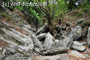 [P19] Lenosei, capătul văiogei ce era și adăpost de cai » foto by Dragoș_MD
 - 
<span class="allrVoted glyphicon glyphicon-heart hidden" id="av1144612"></span>
<a class="m-l-10 hidden" id="sv1144612" onclick="voting_Foto_DelVot(,1144612,8175)" role="button">șterge vot <span class="glyphicon glyphicon-remove"></span></a>
<a id="v91144612" class=" c-red"  onclick="voting_Foto_SetVot(1144612)" role="button"><span class="glyphicon glyphicon-heart-empty"></span> <b>LIKE</b> = Votează poza</a> <img class="hidden"  id="f1144612W9" src="/imagini/loader.gif" border="0" /><span class="AjErrMes hidden" id="e1144612ErM"></span>