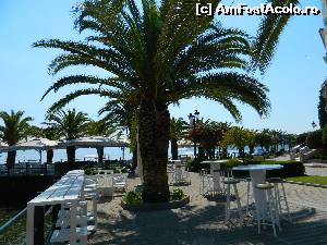 [P28] O cafenea pe faleza din Edipsos, insula Evia » foto by ileanaxperta*
 - 
<span class="allrVoted glyphicon glyphicon-heart hidden" id="av542395"></span>
<a class="m-l-10 hidden" id="sv542395" onclick="voting_Foto_DelVot(,542395,8175)" role="button">șterge vot <span class="glyphicon glyphicon-remove"></span></a>
<a id="v9542395" class=" c-red"  onclick="voting_Foto_SetVot(542395)" role="button"><span class="glyphicon glyphicon-heart-empty"></span> <b>LIKE</b> = Votează poza</a> <img class="hidden"  id="f542395W9" src="/imagini/loader.gif" border="0" /><span class="AjErrMes hidden" id="e542395ErM"></span>