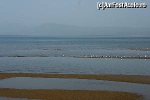 [P03] La pas in Evia - plaja inundabila din Chalcis » foto by stingwasp
 - 
<span class="allrVoted glyphicon glyphicon-heart hidden" id="av667195"></span>
<a class="m-l-10 hidden" id="sv667195" onclick="voting_Foto_DelVot(,667195,8175)" role="button">șterge vot <span class="glyphicon glyphicon-remove"></span></a>
<a id="v9667195" class=" c-red"  onclick="voting_Foto_SetVot(667195)" role="button"><span class="glyphicon glyphicon-heart-empty"></span> <b>LIKE</b> = Votează poza</a> <img class="hidden"  id="f667195W9" src="/imagini/loader.gif" border="0" /><span class="AjErrMes hidden" id="e667195ErM"></span>