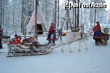 [P02] santa claus village-plimbare cu reni cca 15 eur adult si 12 eur copil...400 m » foto by viobank
 - 
<span class="allrVoted glyphicon glyphicon-heart hidden" id="av174334"></span>
<a class="m-l-10 hidden" id="sv174334" onclick="voting_Foto_DelVot(,174334,8191)" role="button">șterge vot <span class="glyphicon glyphicon-remove"></span></a>
<a id="v9174334" class=" c-red"  onclick="voting_Foto_SetVot(174334)" role="button"><span class="glyphicon glyphicon-heart-empty"></span> <b>LIKE</b> = Votează poza</a> <img class="hidden"  id="f174334W9" src="/imagini/loader.gif" border="0" /><span class="AjErrMes hidden" id="e174334ErM"></span>