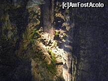 [P16] Lumea subterana din Crystal Cave » foto by marius.covaci
 - 
<span class="allrVoted glyphicon glyphicon-heart hidden" id="av174266"></span>
<a class="m-l-10 hidden" id="sv174266" onclick="voting_Foto_DelVot(,174266,8193)" role="button">șterge vot <span class="glyphicon glyphicon-remove"></span></a>
<a id="v9174266" class=" c-red"  onclick="voting_Foto_SetVot(174266)" role="button"><span class="glyphicon glyphicon-heart-empty"></span> <b>LIKE</b> = Votează poza</a> <img class="hidden"  id="f174266W9" src="/imagini/loader.gif" border="0" /><span class="AjErrMes hidden" id="e174266ErM"></span>