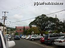 [P33] Pomul Samaan de 400 de ani in parcul Derek Walcott, Castries » foto by kati
 - 
<span class="allrVoted glyphicon glyphicon-heart hidden" id="av179035"></span>
<a class="m-l-10 hidden" id="sv179035" onclick="voting_Foto_DelVot(,179035,8196)" role="button">șterge vot <span class="glyphicon glyphicon-remove"></span></a>
<a id="v9179035" class=" c-red"  onclick="voting_Foto_SetVot(179035)" role="button"><span class="glyphicon glyphicon-heart-empty"></span> <b>LIKE</b> = Votează poza</a> <img class="hidden"  id="f179035W9" src="/imagini/loader.gif" border="0" /><span class="AjErrMes hidden" id="e179035ErM"></span>