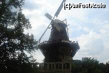 [P34] O moara de vant din imediata apropiere a palatului Sanssouci » foto by ileanaxperta*
 - 
<span class="allrVoted glyphicon glyphicon-heart hidden" id="av174771"></span>
<a class="m-l-10 hidden" id="sv174771" onclick="voting_Foto_DelVot(,174771,8200)" role="button">șterge vot <span class="glyphicon glyphicon-remove"></span></a>
<a id="v9174771" class=" c-red"  onclick="voting_Foto_SetVot(174771)" role="button"><span class="glyphicon glyphicon-heart-empty"></span> <b>LIKE</b> = Votează poza</a> <img class="hidden"  id="f174771W9" src="/imagini/loader.gif" border="0" /><span class="AjErrMes hidden" id="e174771ErM"></span>