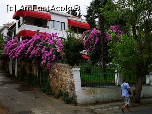 [P27] Conace/case și grădini în Büyükada » foto by crismis
 - 
<span class="allrVoted glyphicon glyphicon-heart hidden" id="av1163150"></span>
<a class="m-l-10 hidden" id="sv1163150" onclick="voting_Foto_DelVot(,1163150,8221)" role="button">șterge vot <span class="glyphicon glyphicon-remove"></span></a>
<a id="v91163150" class=" c-red"  onclick="voting_Foto_SetVot(1163150)" role="button"><span class="glyphicon glyphicon-heart-empty"></span> <b>LIKE</b> = Votează poza</a> <img class="hidden"  id="f1163150W9" src="/imagini/loader.gif" border="0" /><span class="AjErrMes hidden" id="e1163150ErM"></span>