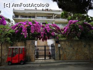 [P34] Conace/case și grădini în Büyükada » foto by crismis
 - 
<span class="allrVoted glyphicon glyphicon-heart hidden" id="av1163157"></span>
<a class="m-l-10 hidden" id="sv1163157" onclick="voting_Foto_DelVot(,1163157,8221)" role="button">șterge vot <span class="glyphicon glyphicon-remove"></span></a>
<a id="v91163157" class=" c-red"  onclick="voting_Foto_SetVot(1163157)" role="button"><span class="glyphicon glyphicon-heart-empty"></span> <b>LIKE</b> = Votează poza</a> <img class="hidden"  id="f1163157W9" src="/imagini/loader.gif" border="0" /><span class="AjErrMes hidden" id="e1163157ErM"></span>