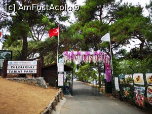 [P39] La pas prin Dilburnu Tabiat Park » foto by crismis
 - 
<span class="allrVoted glyphicon glyphicon-heart hidden" id="av1163162"></span>
<a class="m-l-10 hidden" id="sv1163162" onclick="voting_Foto_DelVot(,1163162,8221)" role="button">șterge vot <span class="glyphicon glyphicon-remove"></span></a>
<a id="v91163162" class=" c-red"  onclick="voting_Foto_SetVot(1163162)" role="button"><span class="glyphicon glyphicon-heart-empty"></span> <b>LIKE</b> = Votează poza</a> <img class="hidden"  id="f1163162W9" src="/imagini/loader.gif" border="0" /><span class="AjErrMes hidden" id="e1163162ErM"></span>