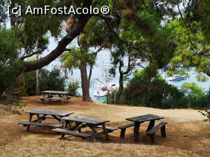 [P40] La pas prin Dilburnu Tabiat Park » foto by crismis
 - 
<span class="allrVoted glyphicon glyphicon-heart hidden" id="av1163163"></span>
<a class="m-l-10 hidden" id="sv1163163" onclick="voting_Foto_DelVot(,1163163,8221)" role="button">șterge vot <span class="glyphicon glyphicon-remove"></span></a>
<a id="v91163163" class=" c-red"  onclick="voting_Foto_SetVot(1163163)" role="button"><span class="glyphicon glyphicon-heart-empty"></span> <b>LIKE</b> = Votează poza</a> <img class="hidden"  id="f1163163W9" src="/imagini/loader.gif" border="0" /><span class="AjErrMes hidden" id="e1163163ErM"></span>