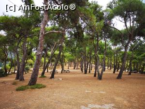[P45] La pas prin Dilburnu Tabiat Park » foto by crismis
 - 
<span class="allrVoted glyphicon glyphicon-heart hidden" id="av1163168"></span>
<a class="m-l-10 hidden" id="sv1163168" onclick="voting_Foto_DelVot(,1163168,8221)" role="button">șterge vot <span class="glyphicon glyphicon-remove"></span></a>
<a id="v91163168" class=" c-red"  onclick="voting_Foto_SetVot(1163168)" role="button"><span class="glyphicon glyphicon-heart-empty"></span> <b>LIKE</b> = Votează poza</a> <img class="hidden"  id="f1163168W9" src="/imagini/loader.gif" border="0" /><span class="AjErrMes hidden" id="e1163168ErM"></span>