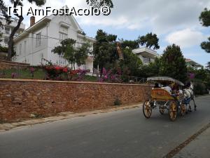 [P60] Conace/case și grădini în Büyükada » foto by crismis
 - 
<span class="allrVoted glyphicon glyphicon-heart hidden" id="av1163183"></span>
<a class="m-l-10 hidden" id="sv1163183" onclick="voting_Foto_DelVot(,1163183,8221)" role="button">șterge vot <span class="glyphicon glyphicon-remove"></span></a>
<a id="v91163183" class=" c-red"  onclick="voting_Foto_SetVot(1163183)" role="button"><span class="glyphicon glyphicon-heart-empty"></span> <b>LIKE</b> = Votează poza</a> <img class="hidden"  id="f1163183W9" src="/imagini/loader.gif" border="0" /><span class="AjErrMes hidden" id="e1163183ErM"></span>