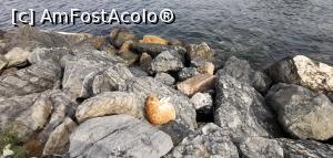 [P28] Faleza din partea stângă a <strong>Büyükadei, loc de ședințe foto și pentru pisici.</strong> » foto by Aurici
 - 
<span class="allrVoted glyphicon glyphicon-heart hidden" id="av1216342"></span>
<a class="m-l-10 hidden" id="sv1216342" onclick="voting_Foto_DelVot(,1216342,8221)" role="button">șterge vot <span class="glyphicon glyphicon-remove"></span></a>
<a id="v91216342" class=" c-red"  onclick="voting_Foto_SetVot(1216342)" role="button"><span class="glyphicon glyphicon-heart-empty"></span> <b>LIKE</b> = Votează poza</a> <img class="hidden"  id="f1216342W9" src="/imagini/loader.gif" border="0" /><span class="AjErrMes hidden" id="e1216342ErM"></span>
