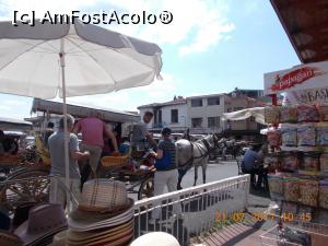 [P16] Selma dirijând urcarea în calești!!  » foto by elviramvio
 - 
<span class="allrVoted glyphicon glyphicon-heart hidden" id="av884234"></span>
<a class="m-l-10 hidden" id="sv884234" onclick="voting_Foto_DelVot(,884234,8221)" role="button">șterge vot <span class="glyphicon glyphicon-remove"></span></a>
<a id="v9884234" class=" c-red"  onclick="voting_Foto_SetVot(884234)" role="button"><span class="glyphicon glyphicon-heart-empty"></span> <b>LIKE</b> = Votează poza</a> <img class="hidden"  id="f884234W9" src="/imagini/loader.gif" border="0" /><span class="AjErrMes hidden" id="e884234ErM"></span>