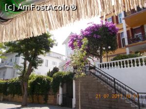 [P18]  -- <small>// FĂRĂ DESCRIERE</small> » foto by elviramvio
 - 
<span class="allrVoted glyphicon glyphicon-heart hidden" id="av884236"></span>
<a class="m-l-10 hidden" id="sv884236" onclick="voting_Foto_DelVot(,884236,8221)" role="button">șterge vot <span class="glyphicon glyphicon-remove"></span></a>
<a id="v9884236" class=" c-red"  onclick="voting_Foto_SetVot(884236)" role="button"><span class="glyphicon glyphicon-heart-empty"></span> <b>LIKE</b> = Votează poza</a> <img class="hidden"  id="f884236W9" src="/imagini/loader.gif" border="0" /><span class="AjErrMes hidden" id="e884236ErM"></span>