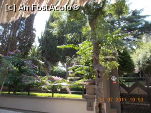 [P24]  -- <small>// FĂRĂ DESCRIERE</small> » foto by elviramvio
 - 
<span class="allrVoted glyphicon glyphicon-heart hidden" id="av884242"></span>
<a class="m-l-10 hidden" id="sv884242" onclick="voting_Foto_DelVot(,884242,8221)" role="button">șterge vot <span class="glyphicon glyphicon-remove"></span></a>
<a id="v9884242" class=" c-red"  onclick="voting_Foto_SetVot(884242)" role="button"><span class="glyphicon glyphicon-heart-empty"></span> <b>LIKE</b> = Votează poza</a> <img class="hidden"  id="f884242W9" src="/imagini/loader.gif" border="0" /><span class="AjErrMes hidden" id="e884242ErM"></span>